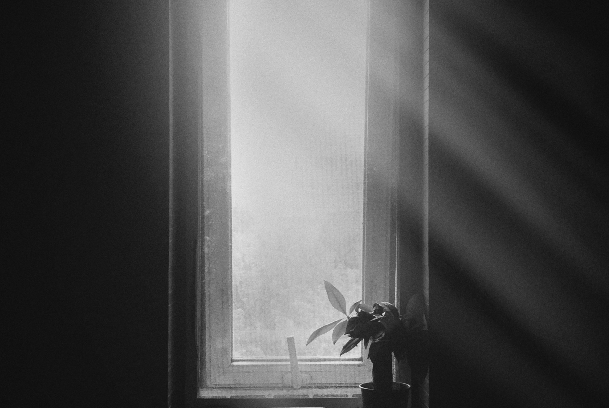 Black and white picture of a window with light streaming in